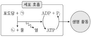 제1번 문제 자료