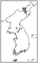 보기 5