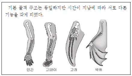 제1번 문제 자료