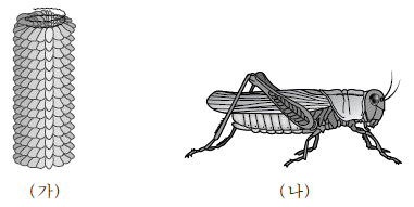 제1번 문제 자료