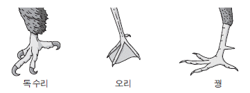 제1번 문제 자료