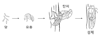 제1번 문제 자료