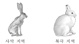 제1번 문제 자료