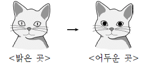 제1번 문제 자료