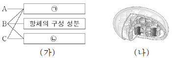 제2번 문제 자료