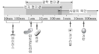 제1번 문제 자료