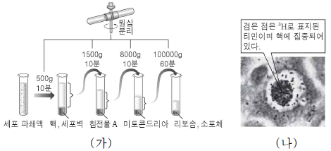 제1번 문제 자료