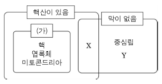 제1번 문제 자료