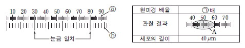 제2번 문제 자료
