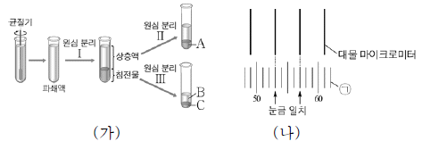 제1번 문제 자료