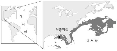 제1번 문제 자료