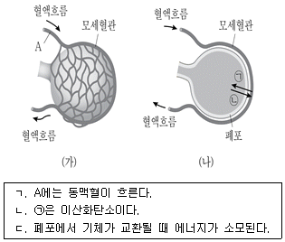 제1번 문제 자료